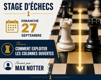 résumé du thème du stage